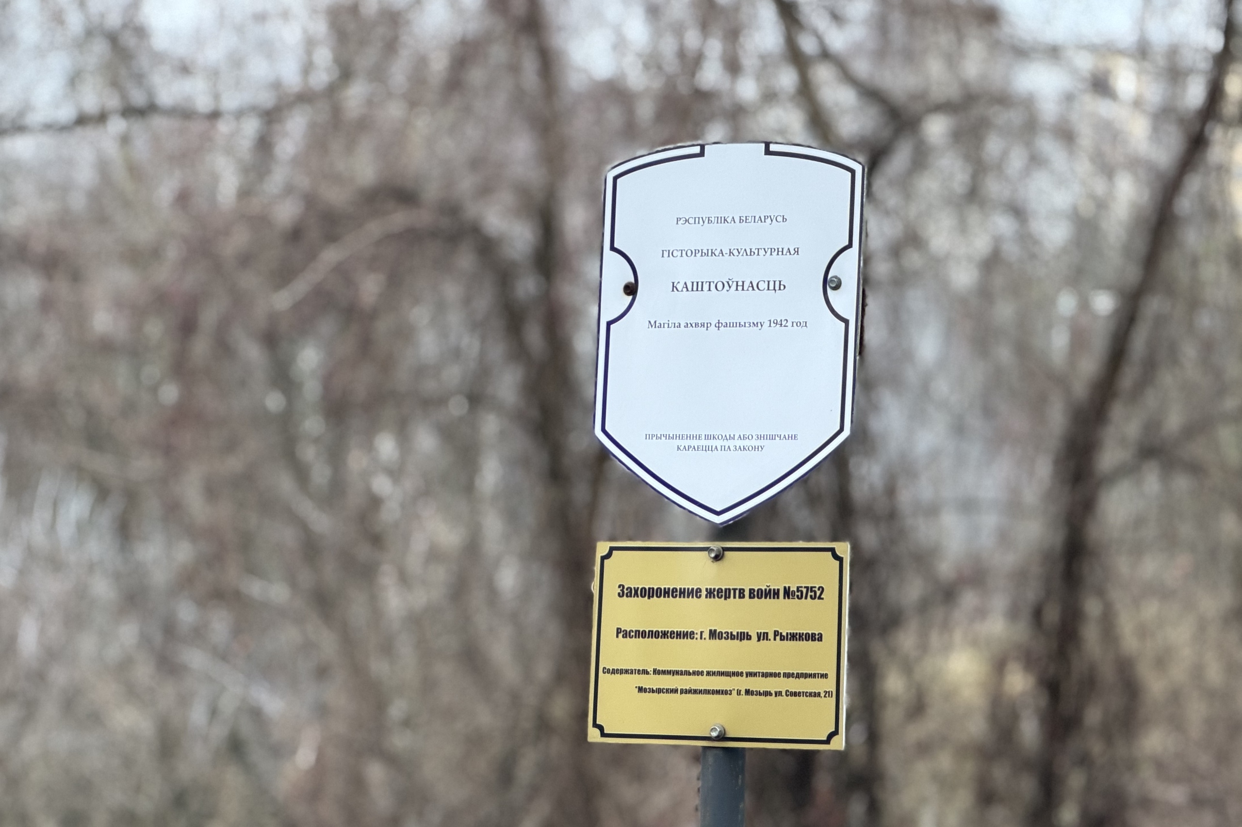 Память, за которую отвечают живые: судебные исполнители из Мозыря навели порядок на месте скорби