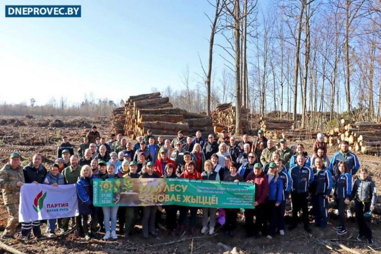 Стартовал весенний этап республиканской акции «Дай лесу новае жыццё!»