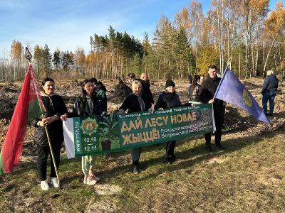 Коллективы органов юстиции со всех уголков области присоединяются к акции «Дай лесу новае жыццё!»