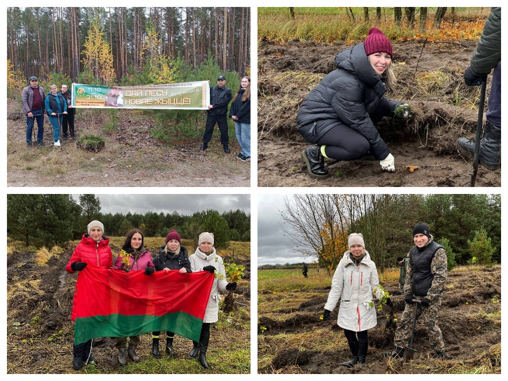 Юристы поддержали акцию «Дай лесу новае жыццё» Юристы поддержали акцию «Дай лесу новае жыццё»