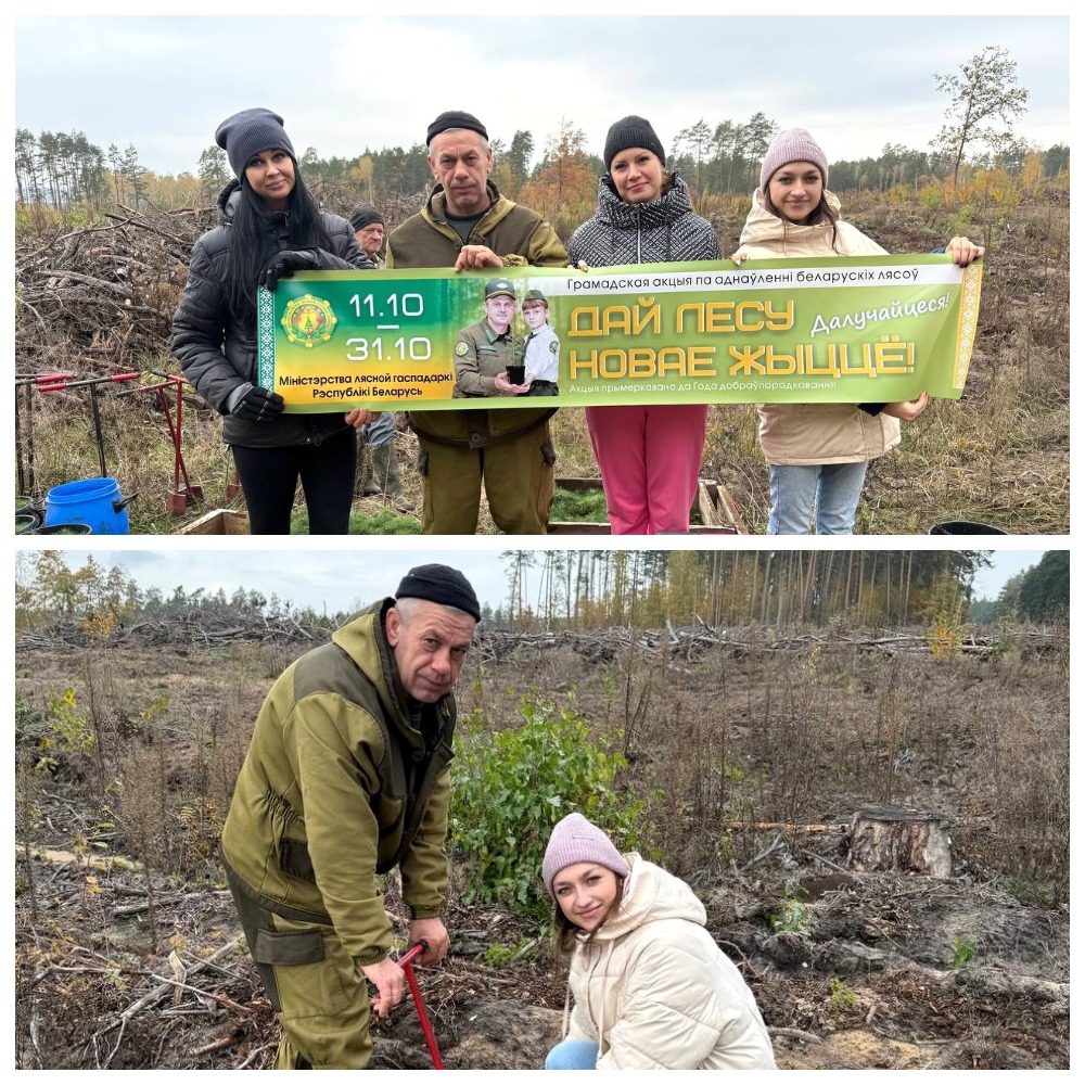 Судебные исполнители из Калинковичей присоединились к акции «Дай лесу новае жыццё» Судебные исполнители из Калинковичей присоединились к акции «Дай лесу новае жыццё»